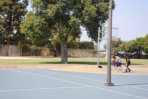 DSC 0353