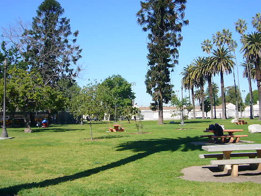P1080559