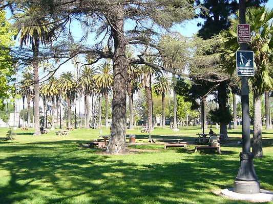 P1080557
