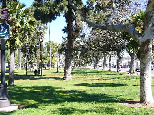 P1080558