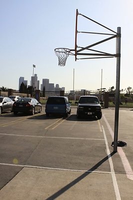 showimg-1