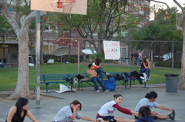 DSC 0183a