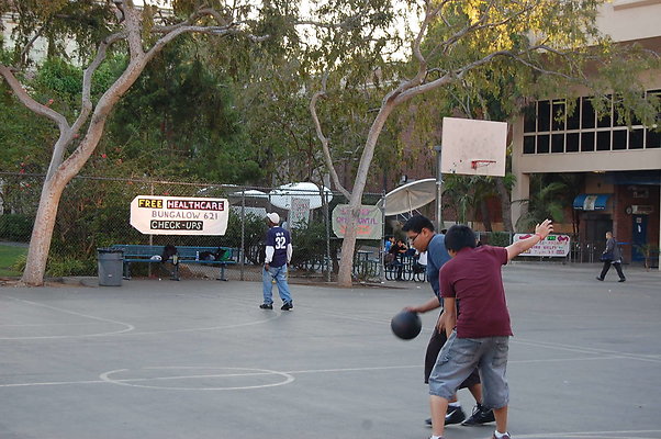 DSC 0175