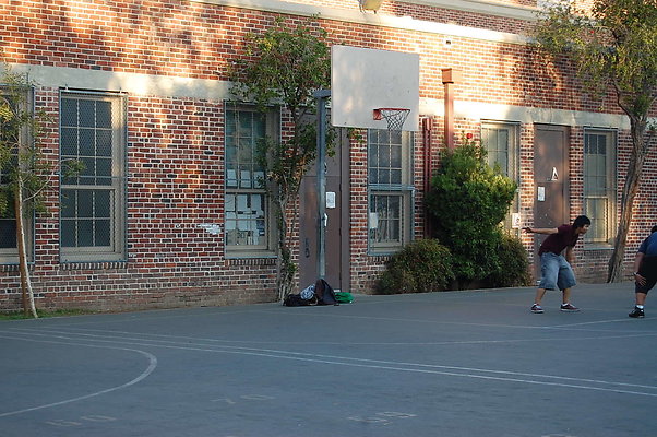 DSC 0155