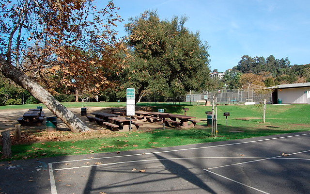 DSC 0199