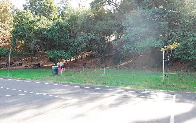DSC 0201
