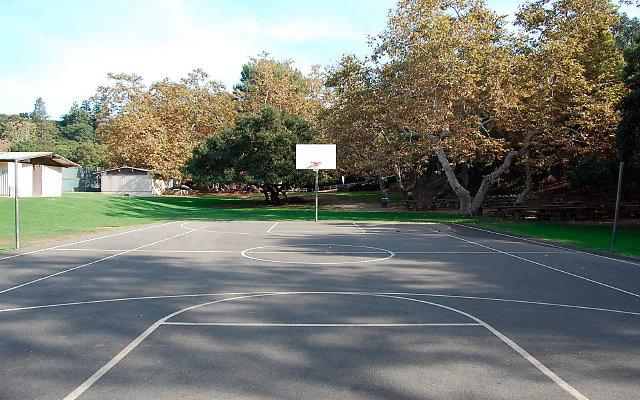 DSC 0200