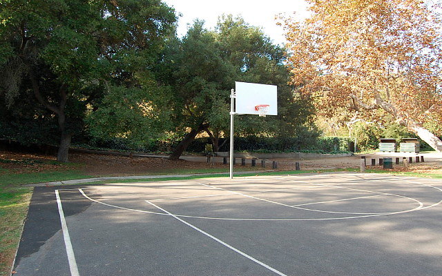 DSC 0202