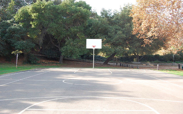 DSC 0206