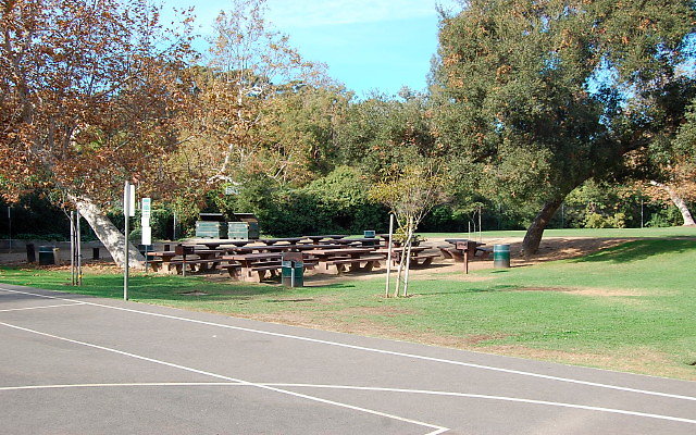 DSC 0207