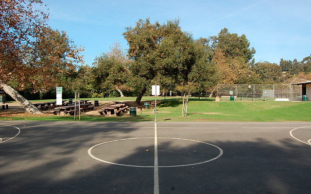 DSC 0203