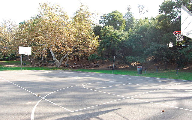 DSC 0208