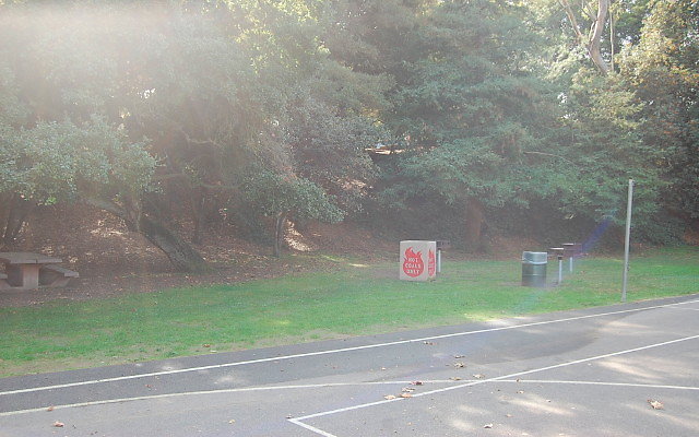 DSC 0205