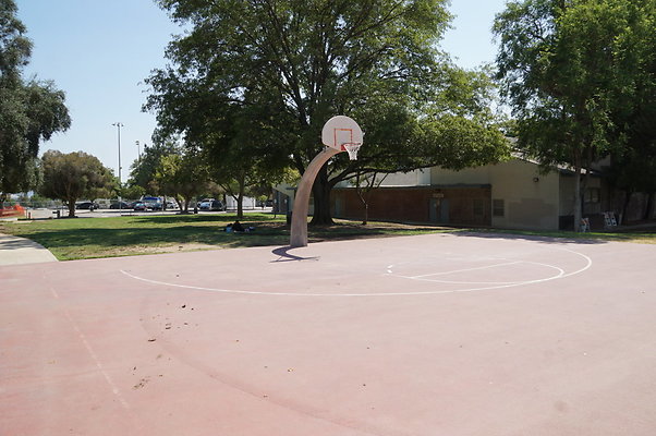 Mason.BBall.Ext.09