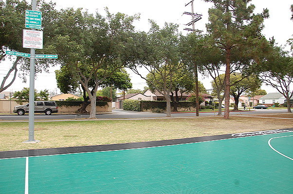 DSC 0024