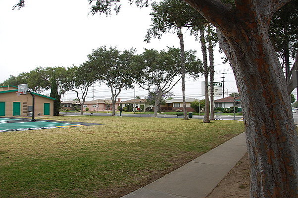 DSC 0017