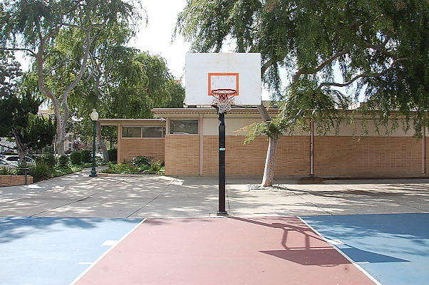 DSC 0079