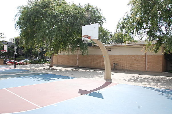 DSC 0062