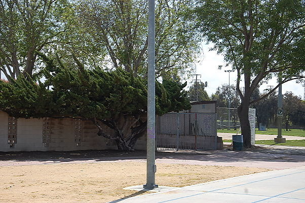 DSC 0191
