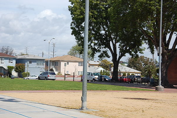 DSC 0209