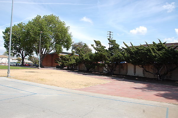 DSC 0206