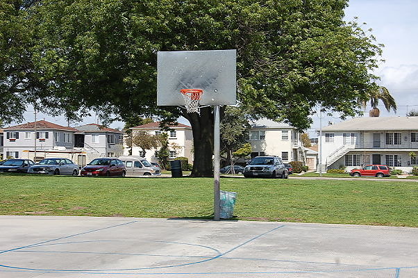 DSC 0203