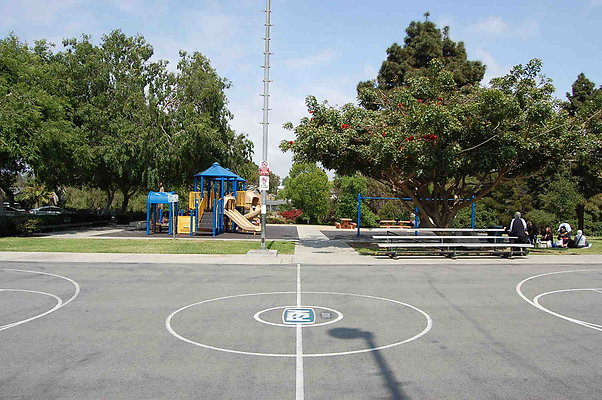 DSC 0037