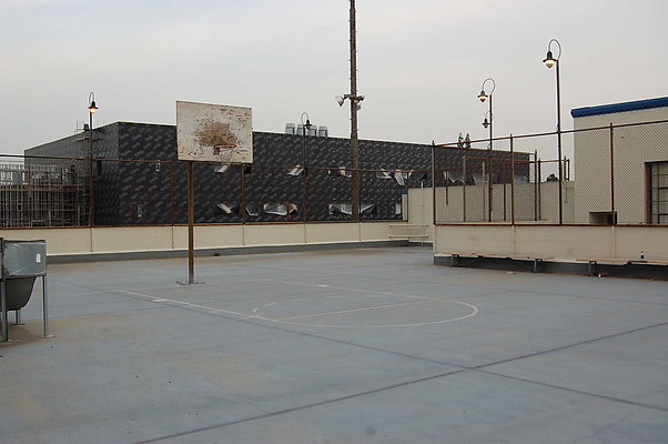 DSC 0107