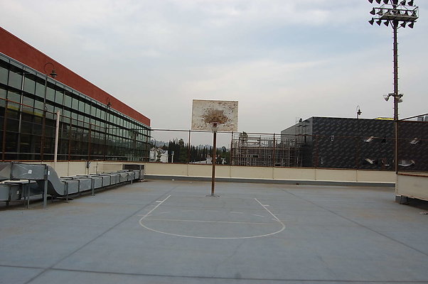DSC 0106