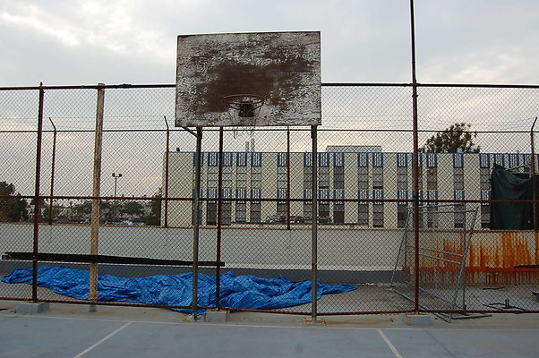 DSC 0099