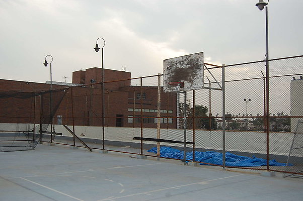 DSC 0110