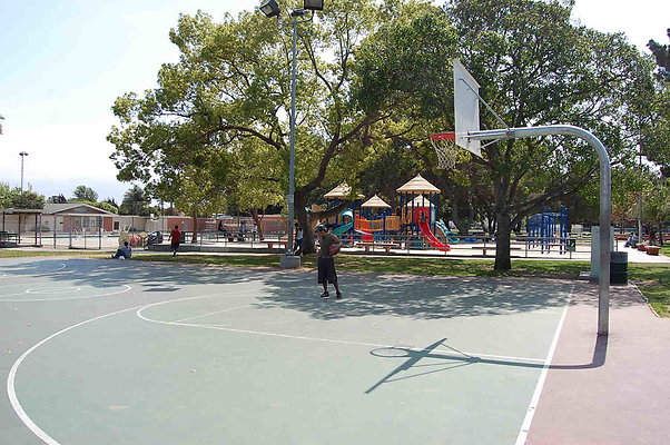DSC 0049