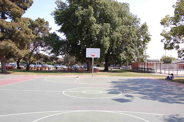 DSC 0054