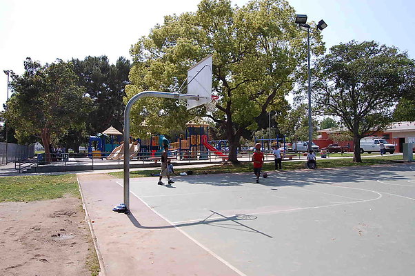 DSC 0041