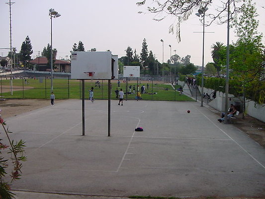 DSC00137