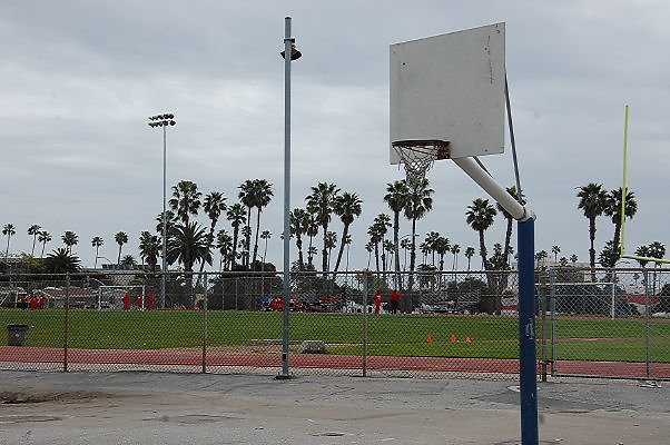 DSC 0351
