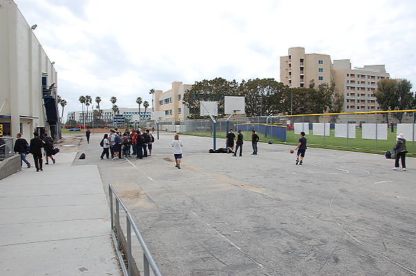 DSC 0333