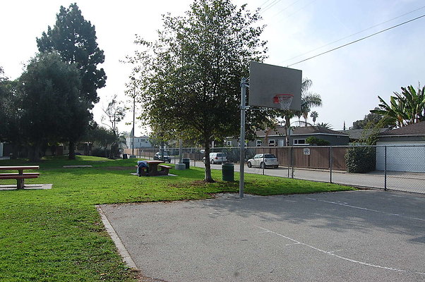 DSC 0045