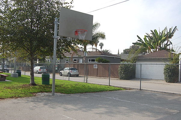 DSC 0049