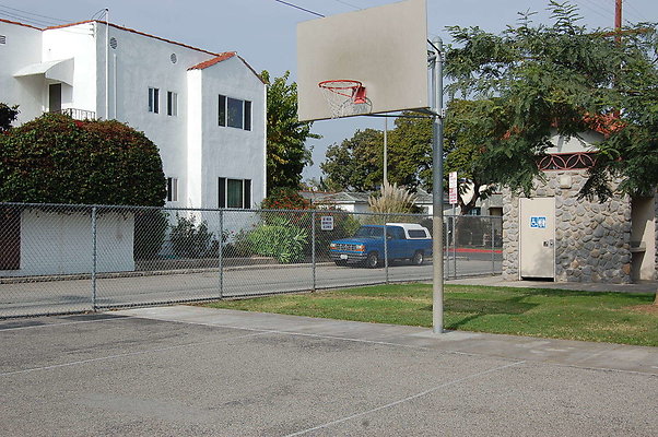DSC 0041a