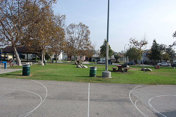 DSC 0043