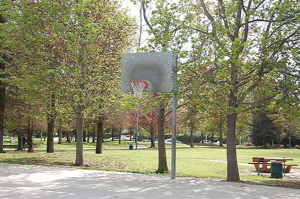 DSC 0135