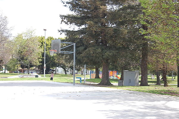 DSC 0131