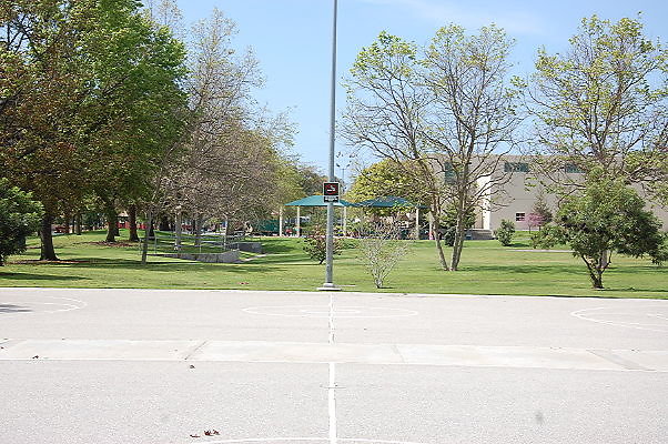DSC 0150