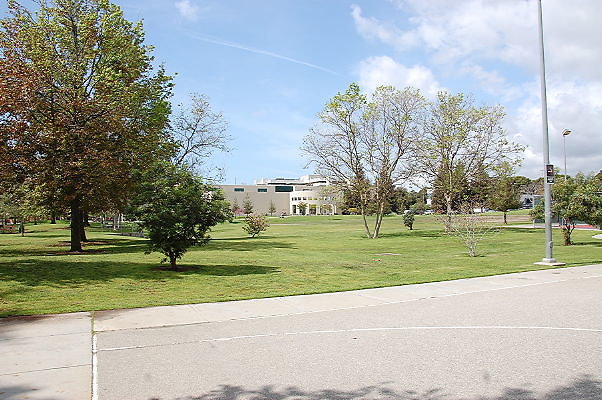 DSC 0123