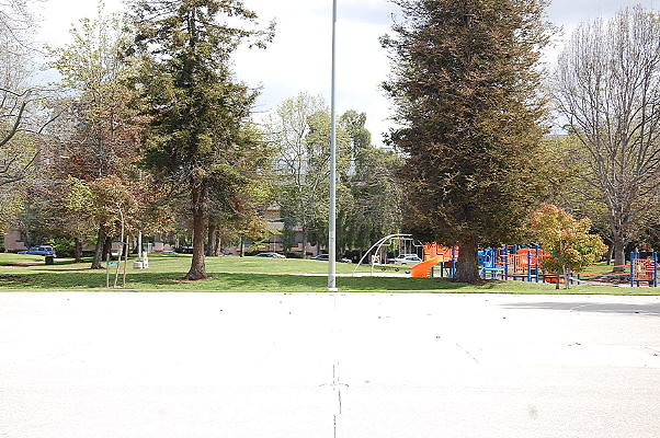 DSC 0130