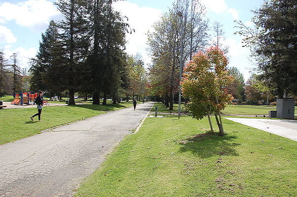DSC 0154