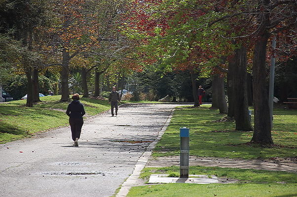 DSC 0155