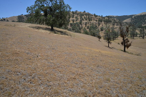 DSC 7087