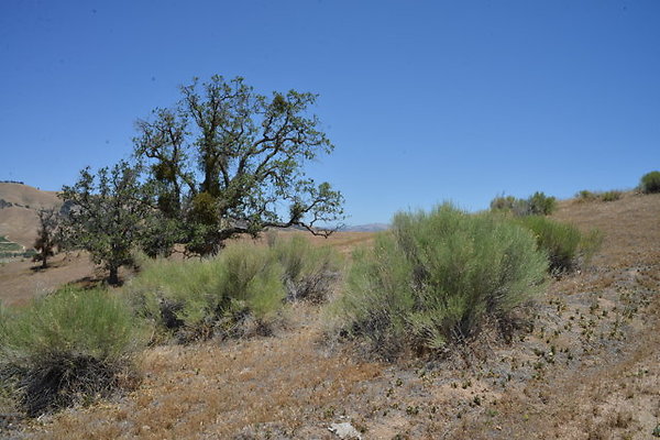 DSC 7090